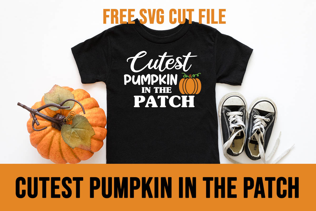 Cutest pumpkin in the patch free svg cut file