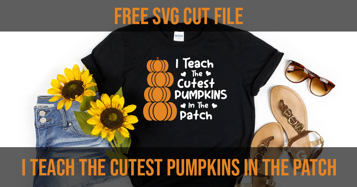 I teach the cutest pumpkins in the patch free svg cut file